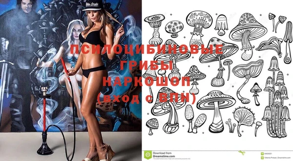 PSILOCYBIN Аркадак