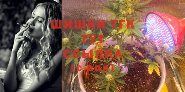 PSILOCYBIN Аркадак